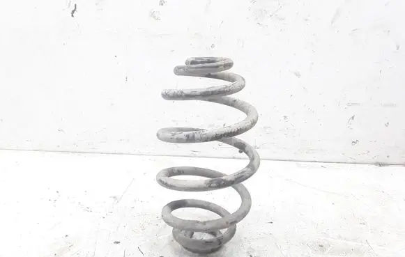Volkswagen PASSAT B5 Rear coil spring