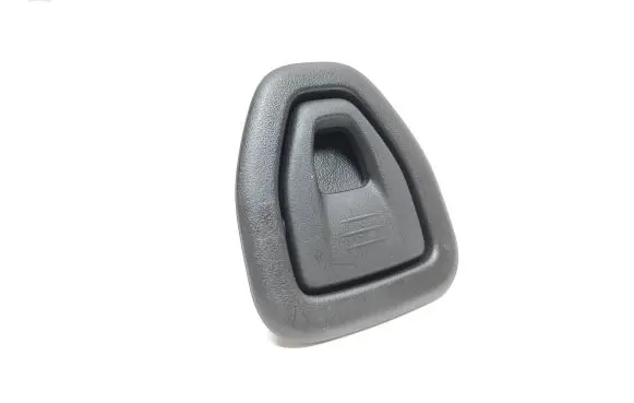 Citroen DS5 Headlining roof cover 9670506577
