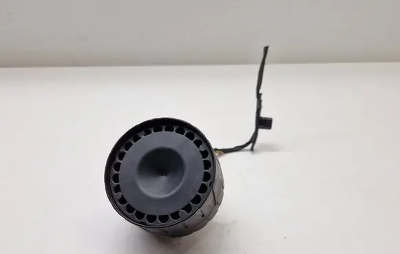 Alarm system siren