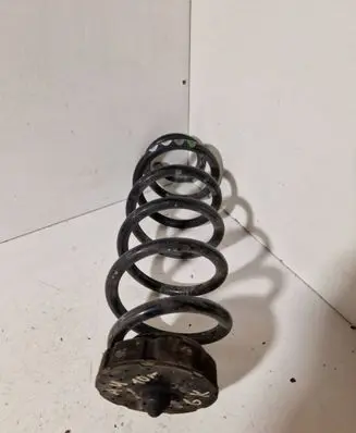 Rear coil spring
