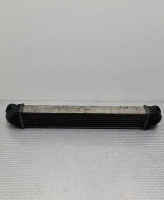 Mercedes-Benz A W169 Intercooler radiator A1695000000