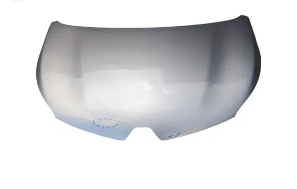 Engine bonnet/hood