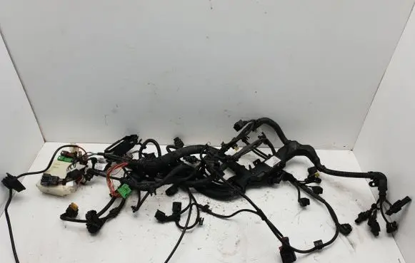 Engine installation wiring loom