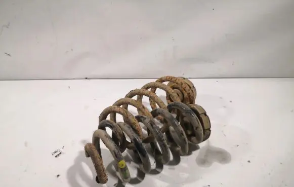 Audi A4 S4 B6 8E 8H Rear coil spring