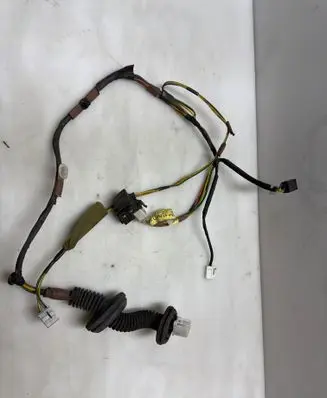 Rear door wiring loom