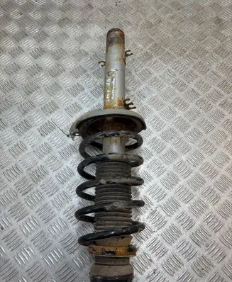 Seat Leon (1M) Front shock absorber with coil spring 