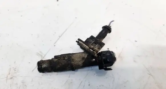 Peugeot 407 Fuel injector 01F004A