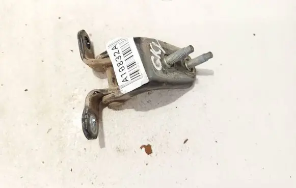 Rear door lower hinge