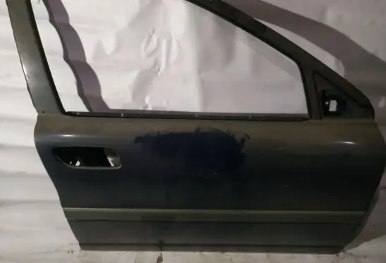 Volvo S80 Front door melynos