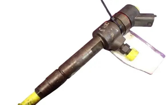 Fiat Punto (199) Fuel injector