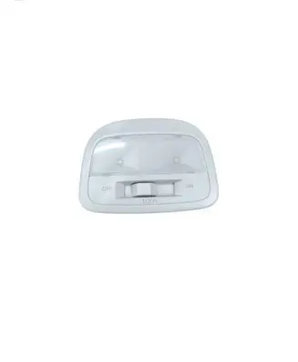 Subaru Outback (BT) Rear seat light