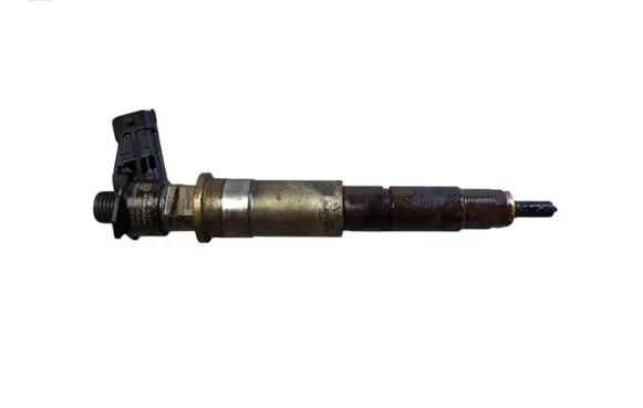 Renault Laguna III Fuel injector 0445115007 H82409398