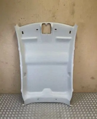 Citroen C3 Headlining 98118572BJ