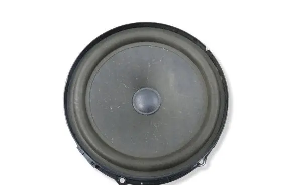 Volkswagen Tiguan Front door speaker 5N0035454