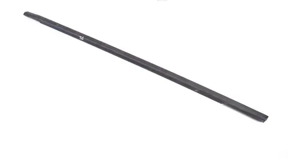 Ford Focus Front door glass trim molding 