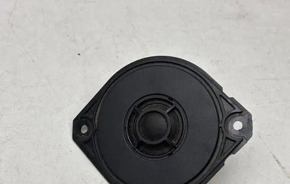 Panel speaker