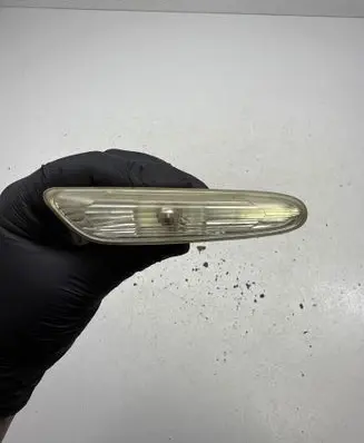 Front fender indicator light