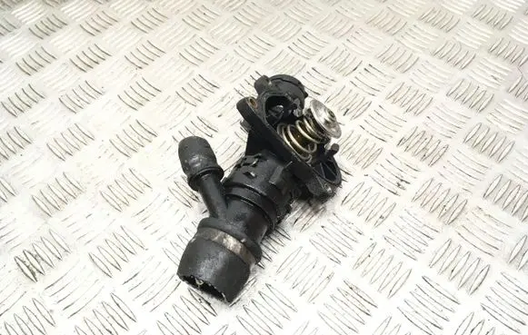 Thermostat/thermostat housing