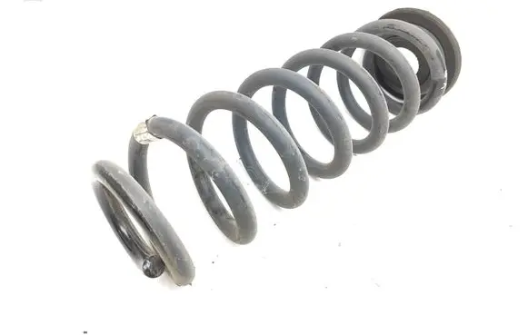 Rear coil spring