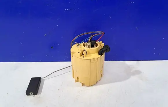 Mercedes-Benz R W251 In-tank fuel pump A2C53029542