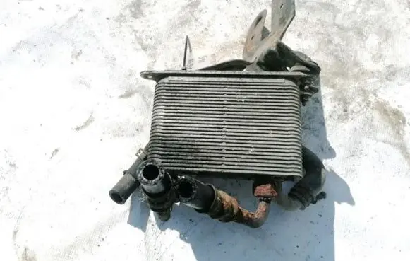 Volkswagen Phaeton Engine oil radiator 3D0409061G