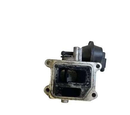 EGR valve