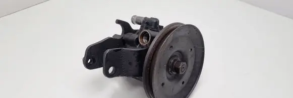 Nissan King Cab, Navara Power steering pump 491102S600 01283158 2S600