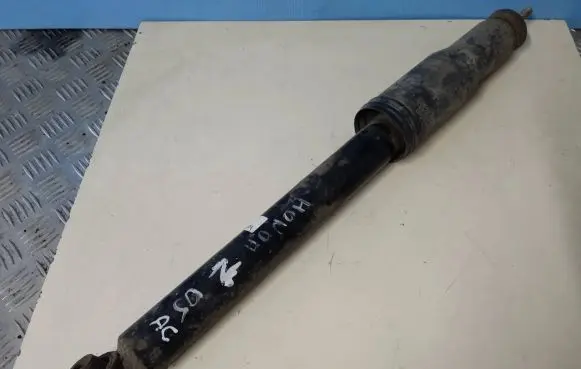Rear shock absorber/damper