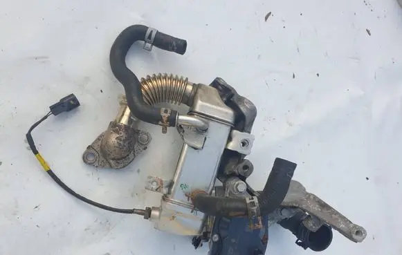 EGR valve