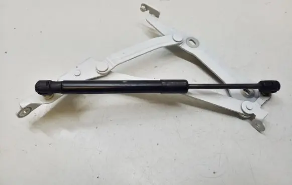 Ford Mustang VI Tailgate/trunk/boot hinge FR3B6342700AD