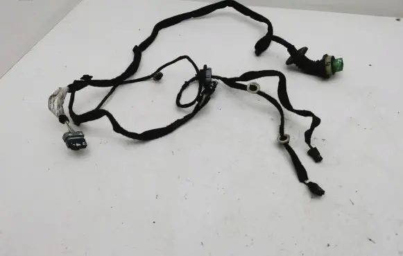 Rear door wiring loom