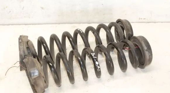 Rear coil spring
