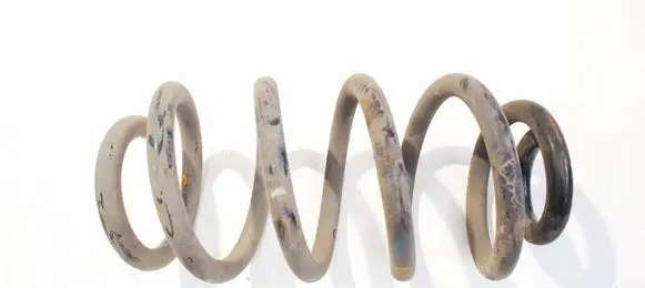 Rear coil spring