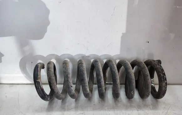 Rear coil spring