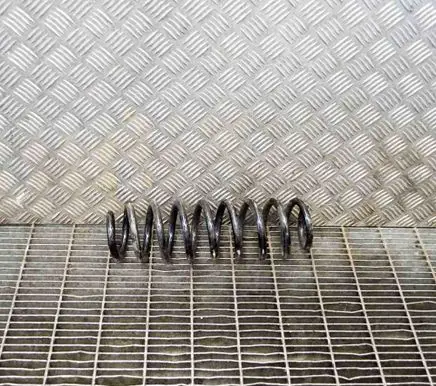 Toyota RAV 4 (XA50) Rear coil spring