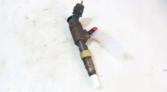 Peugeot Partner Fuel injector 0445110739