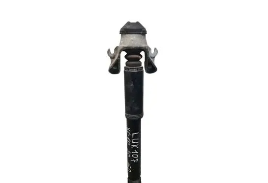 Volvo XC60 Rear shock absorber/damper 31360616 AEHPD