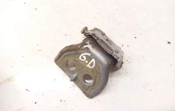 Peugeot 307 Rear door lower hinge 