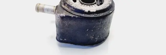Citroen Berlingo Oil filter mounting bracket