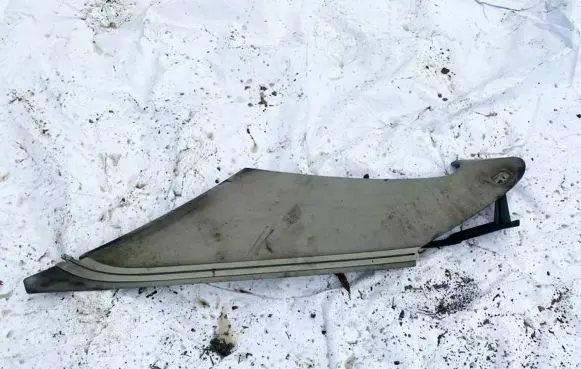 Mercedes-Benz S W221 Other interior part A2216904425 11516044