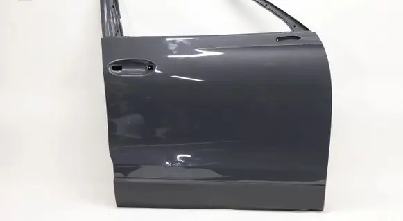 Volkswagen Tiguan Front door 5773988
