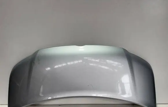 Volkswagen Multivan T5 Engine bonnet/hood