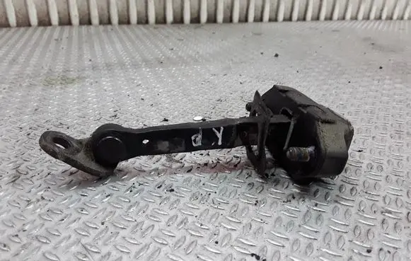 Hyundai H-1, Starex, Satellite Front door check strap stopper 