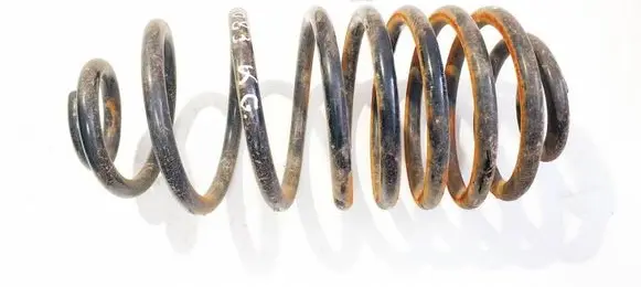 Rear coil spring