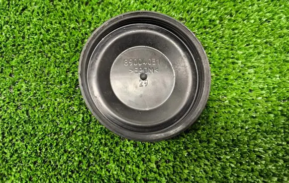 Volkswagen PASSAT B6 Headlight/headlamp dust cover 89004051