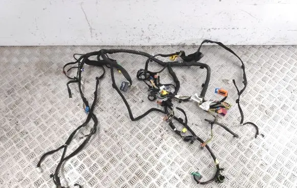 Citroen C4 Grand Picasso Panel wiring 22680208 PCAVB00039