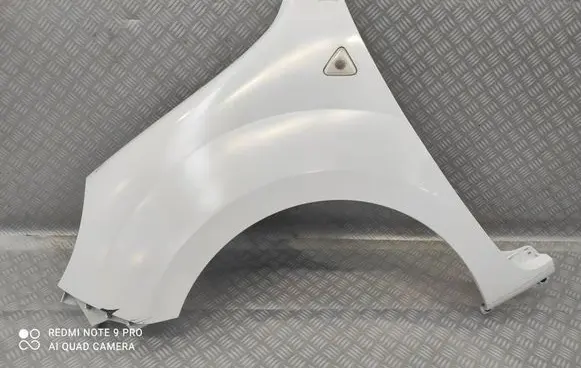Renault Kangoo II Fender