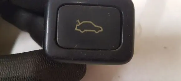Tailgate opening switch