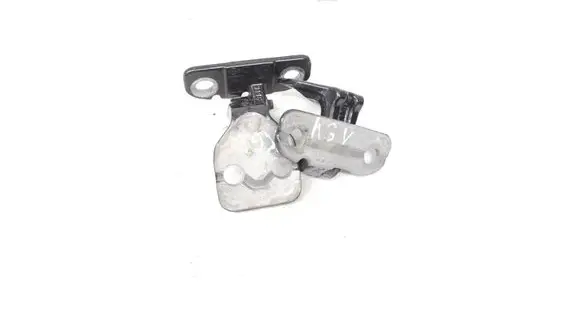 Rear door lower hinge