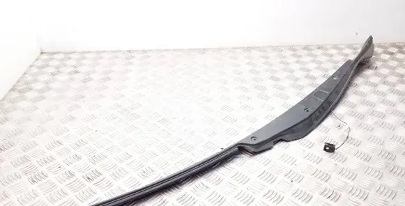 Other rear door trim element